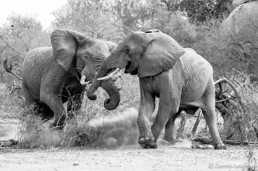 17 iconic shots to tick off your photographic bucket list in Southern Africa