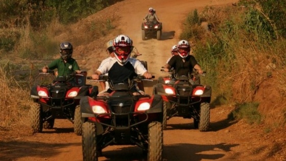 Hollybrooke farm offers outdoor adventures for the whole family.