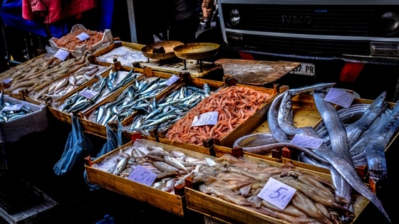 The importance of choosing sustainable seafood