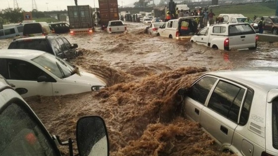 Suzuki_Flash_Flood.jpg