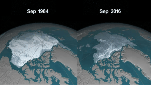 carbon footprint and the ice caps