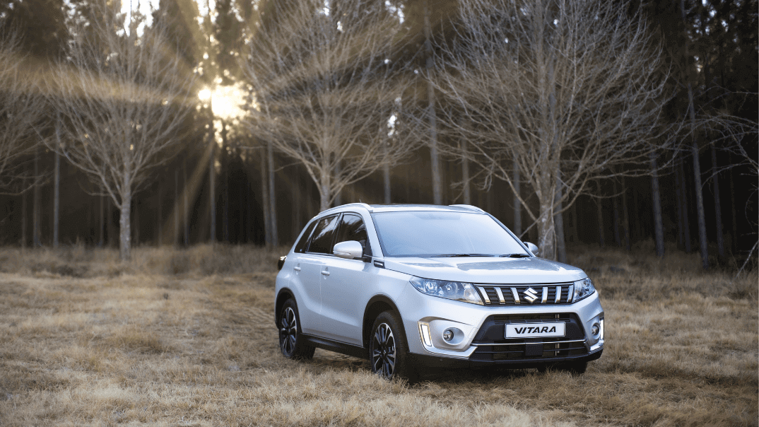 silver vitara in veld