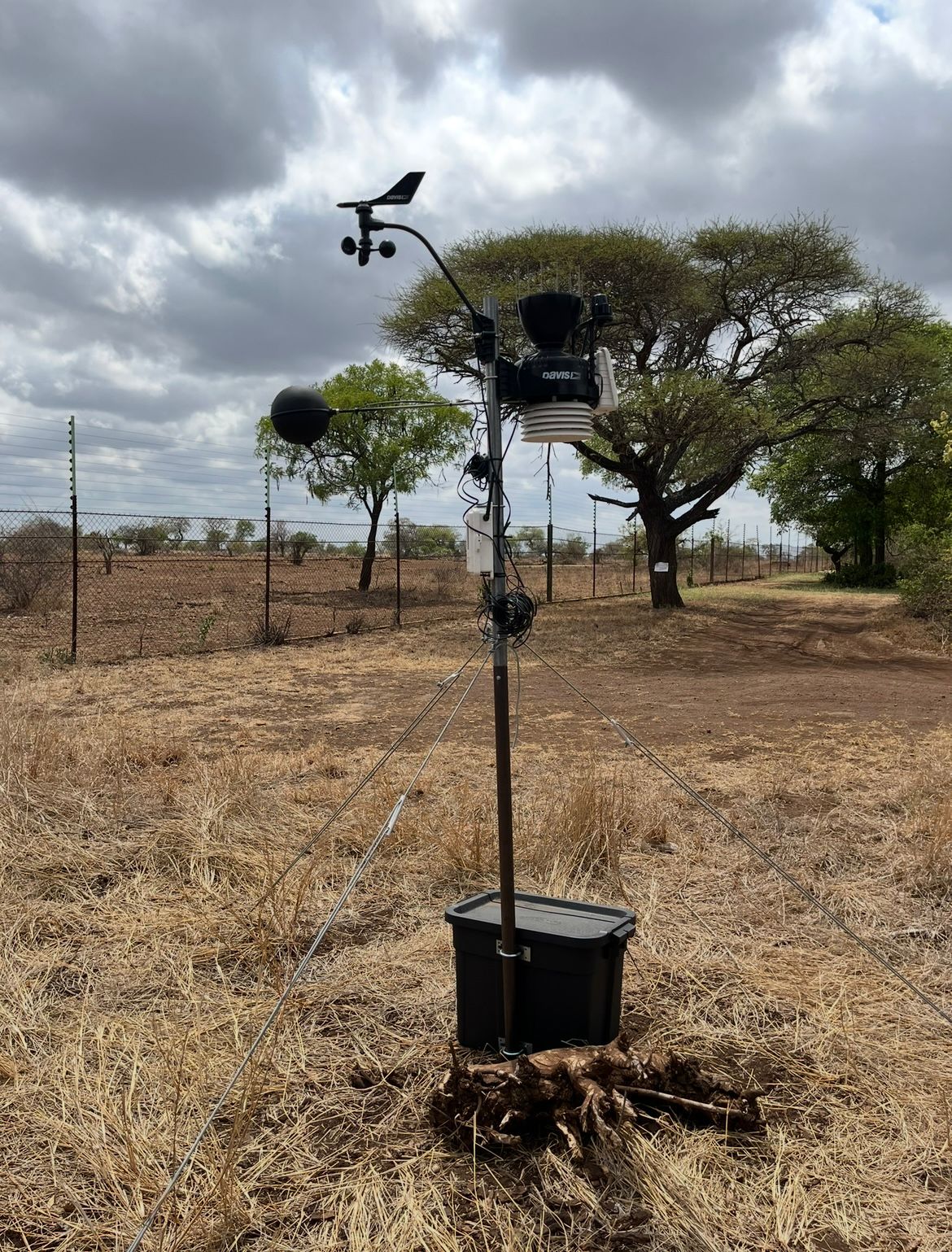 WhatsApp Image 2025-11-17 at 13.40.55_46a3164b-min